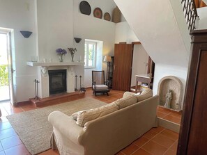 TV, fireplace, books