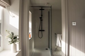 Shower, hair dryer, towels