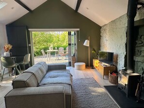 Télévision, cheminée