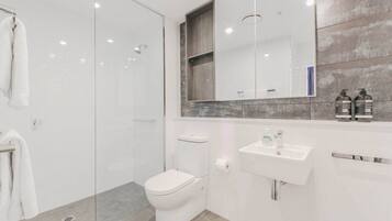 Shower, hair dryer, towels