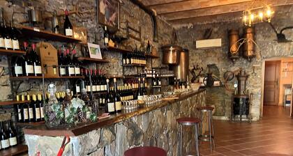 Hotel du Vignoble