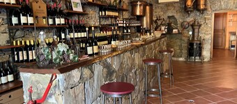 Hotel du Vignoble