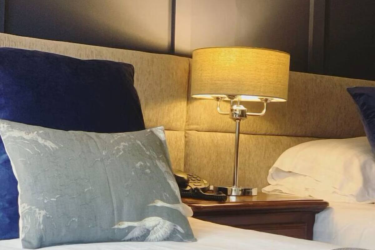 Deluxe Twin Room | Iron/ironing board, free WiFi