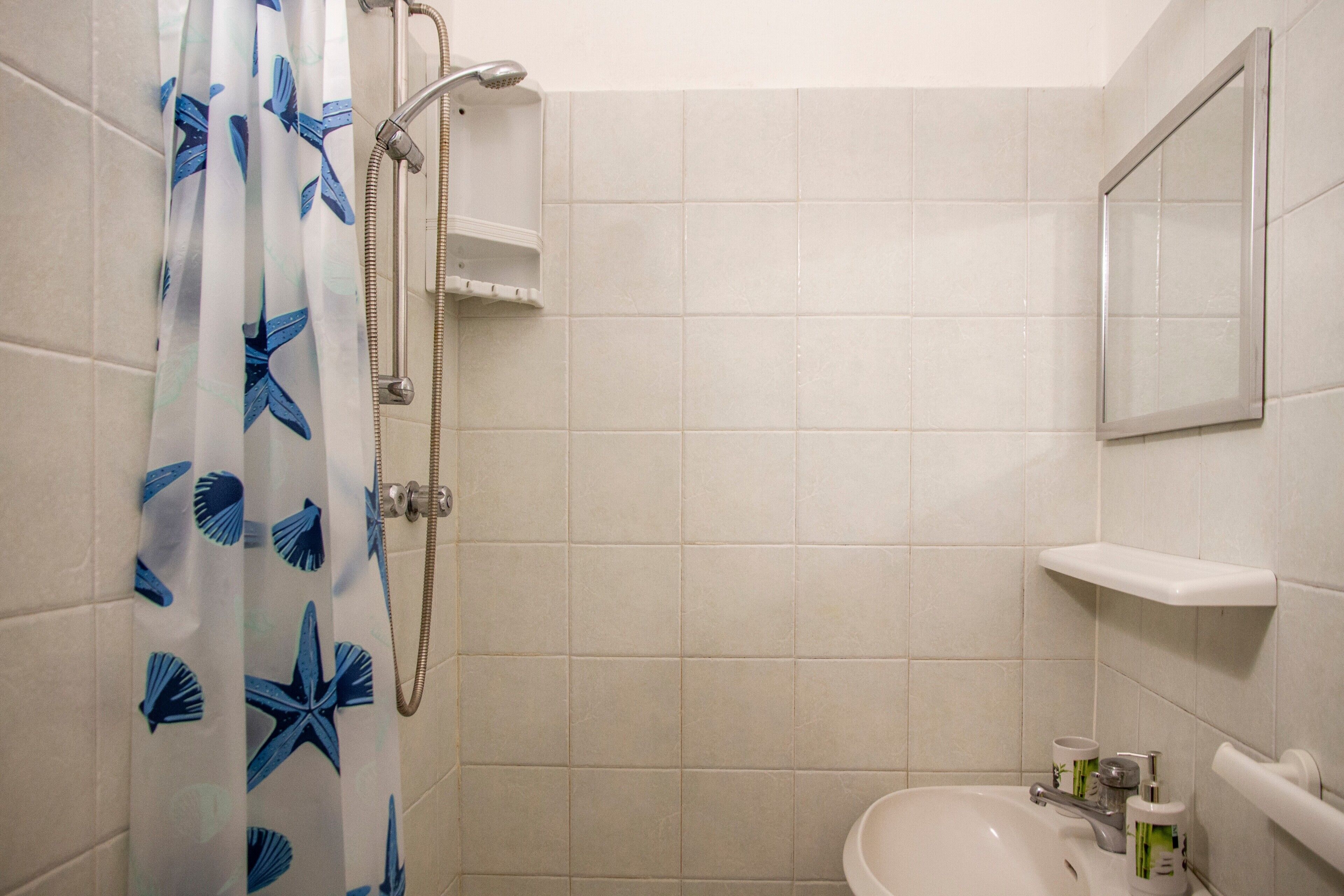 Une salle de bain avec une douche, un lavabo et un miroir.