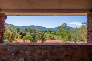 Property grounds - Apartment 'Taverna' with Private Terrace, Shared Garden and Wi-Fi (Gavorrano)