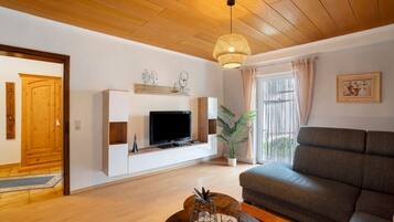 Ein Wohnzimmer mit Fernseher, Sofa, Holzboden und einer Zimmerpflanze.
