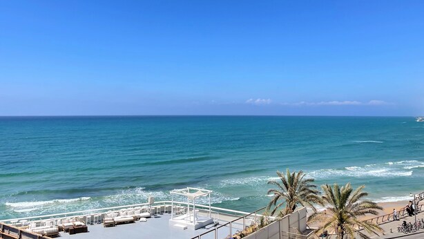 A deck with lounge chairs overlooking the ocean, a palm tree, and a clear blue sky. - 1604 Tel aviv (Tel Aviv)