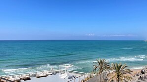 A deck with lounge chairs overlooking the ocean, a palm tree, and a clear blue sky. - 1604 Tel aviv (Tel Aviv)