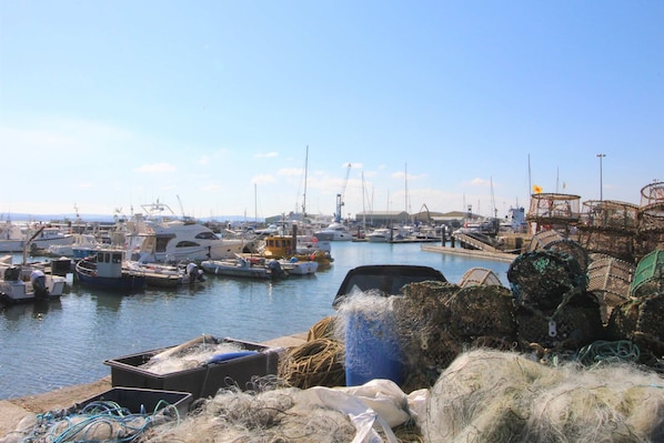Marina