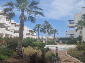 Ein Resort mit weißen Gebäuden, Palmen und einem gepflasterten Weg.