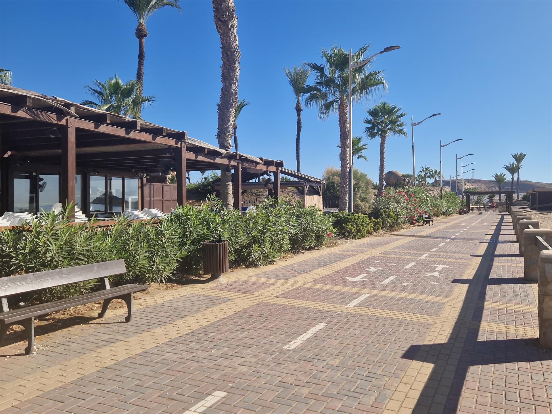 A paved walkway with benches, palm trees, and a covered structure with tables and chairs.