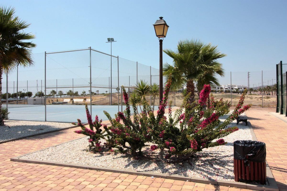 A landscaped area with a palm tree, a lamp post, and a trash bin.