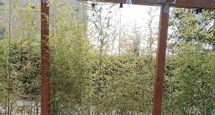 Studio L avec terrasse