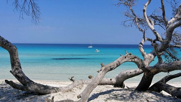 Strand