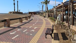 Un sendero pavimentado con bancos, palmeras y una playa al fondo.