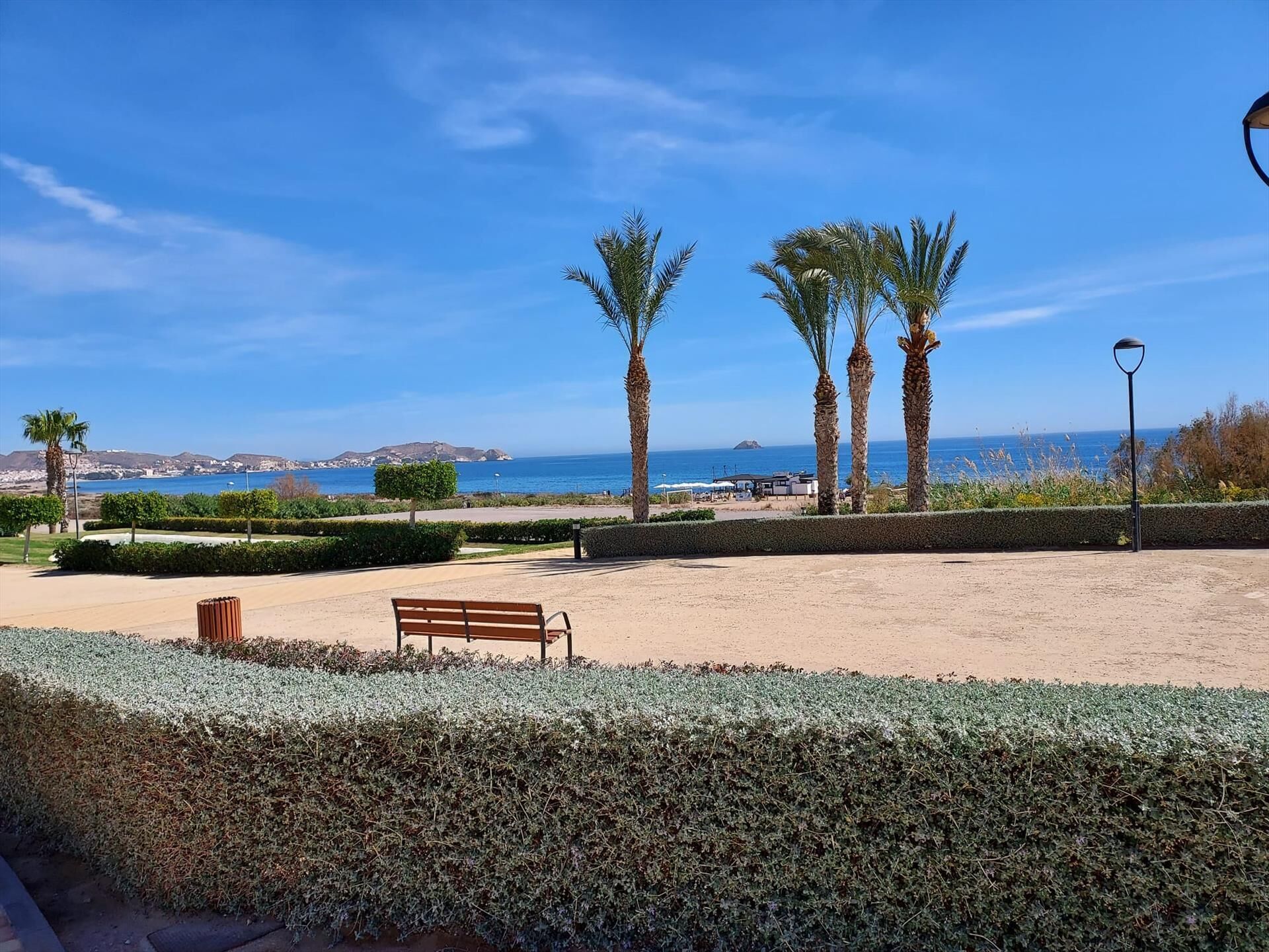 Un parque con un banco, palmeras y vistas al mar.