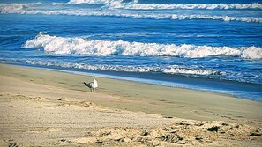 Praia