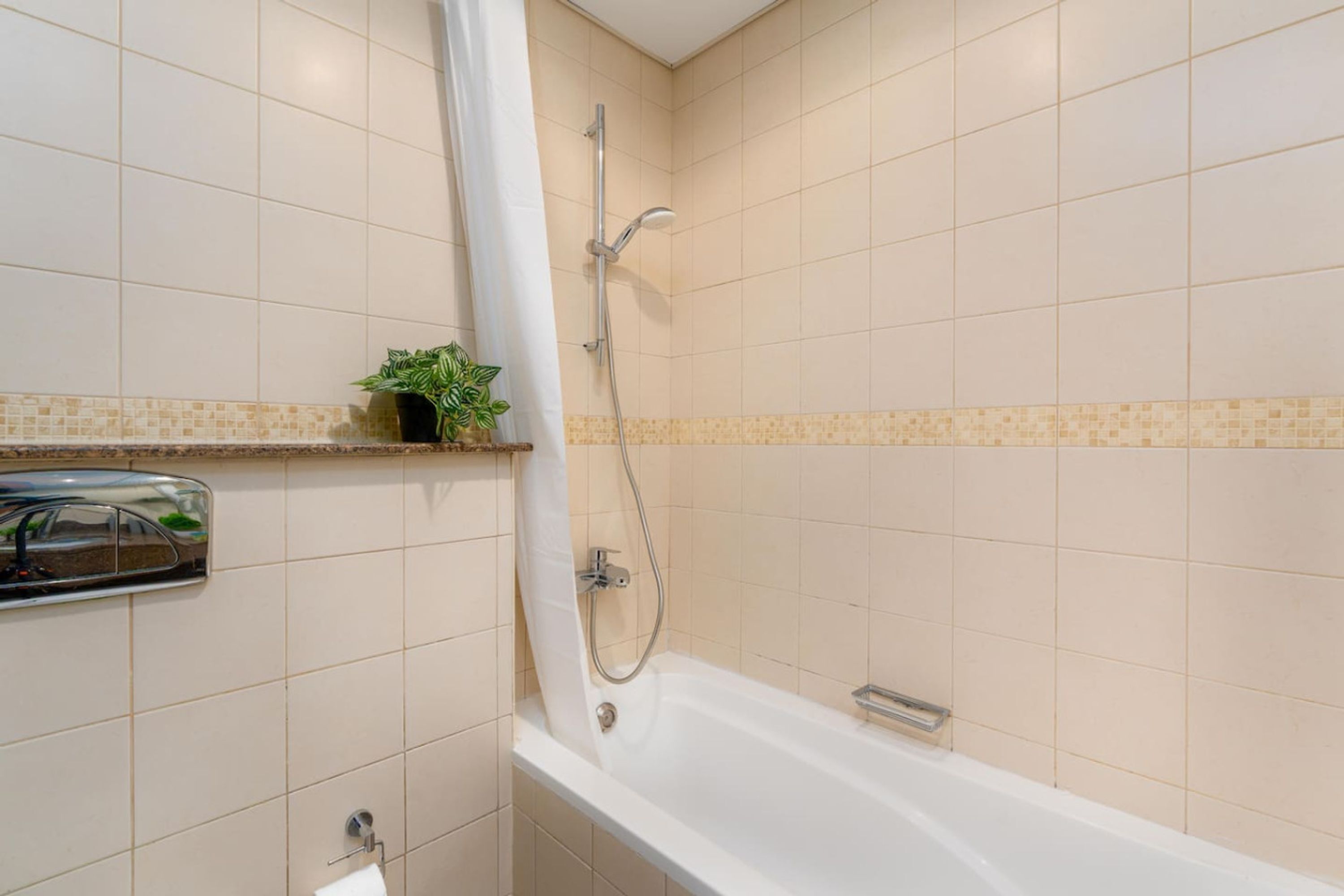 Een badkamer met een bad, douche en een plankje met een plant.