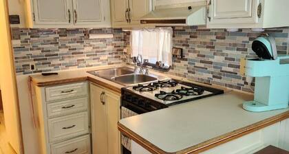 Fun winter park life!