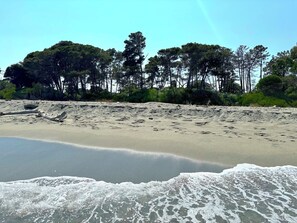 A beach with a sandy shore and waves.