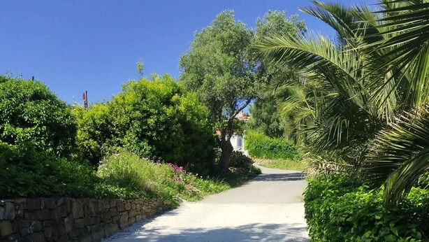 A narrow, paved road flanked by lush greenery and a stone wall.