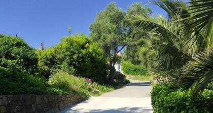Flat in villa with garden
