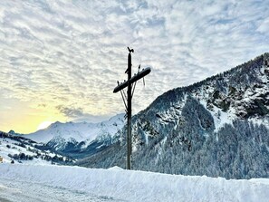 Sneeuw- en skisporten