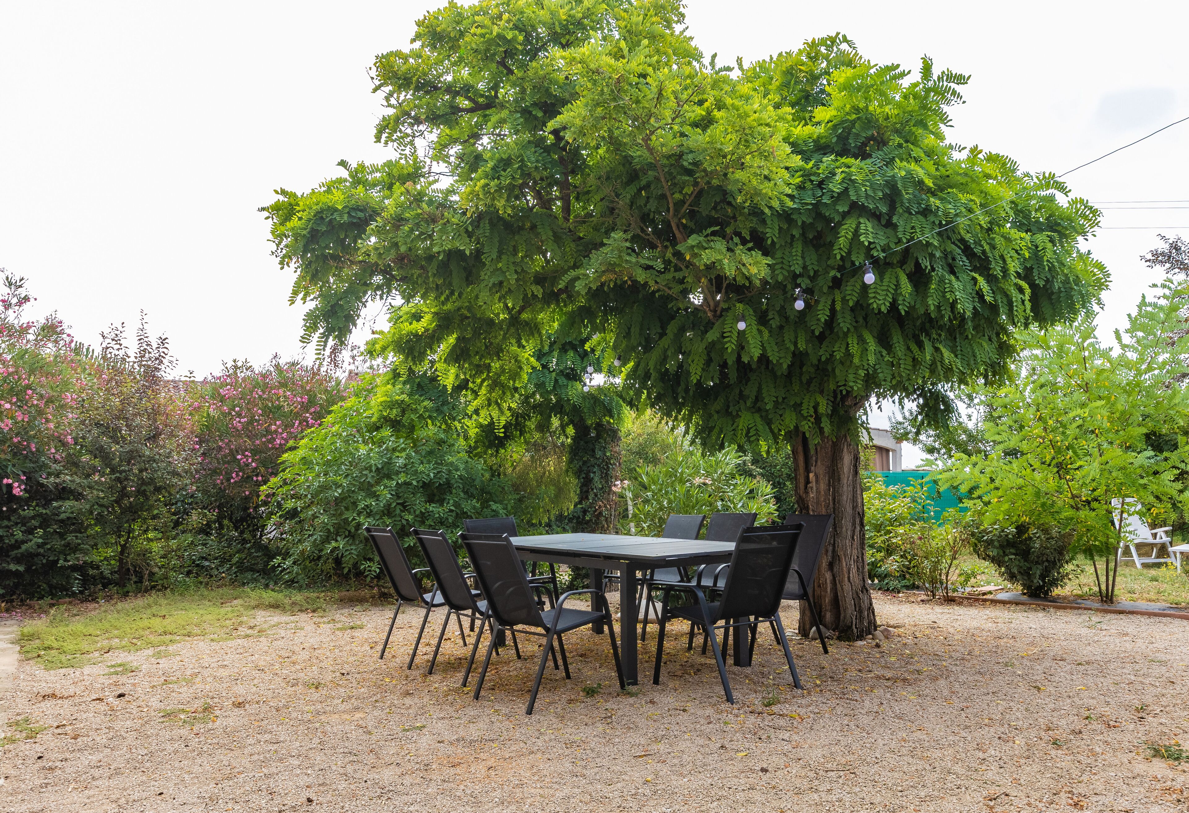 An outdoor dining area with a table and chairs, surrounded by trees and greenery.