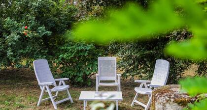 Le Mazet de Pendaries - Garden - Gaillac