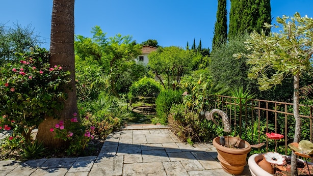 A stone pathway leading to a house surrounded by lush greenery and tall trees. - Cocteau Guest Room with Shared Terrace, Wi-Fi, and Air Conditioning (Menton)