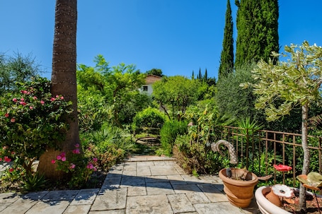 A stone pathway leading to a house surrounded by lush greenery and tall trees.