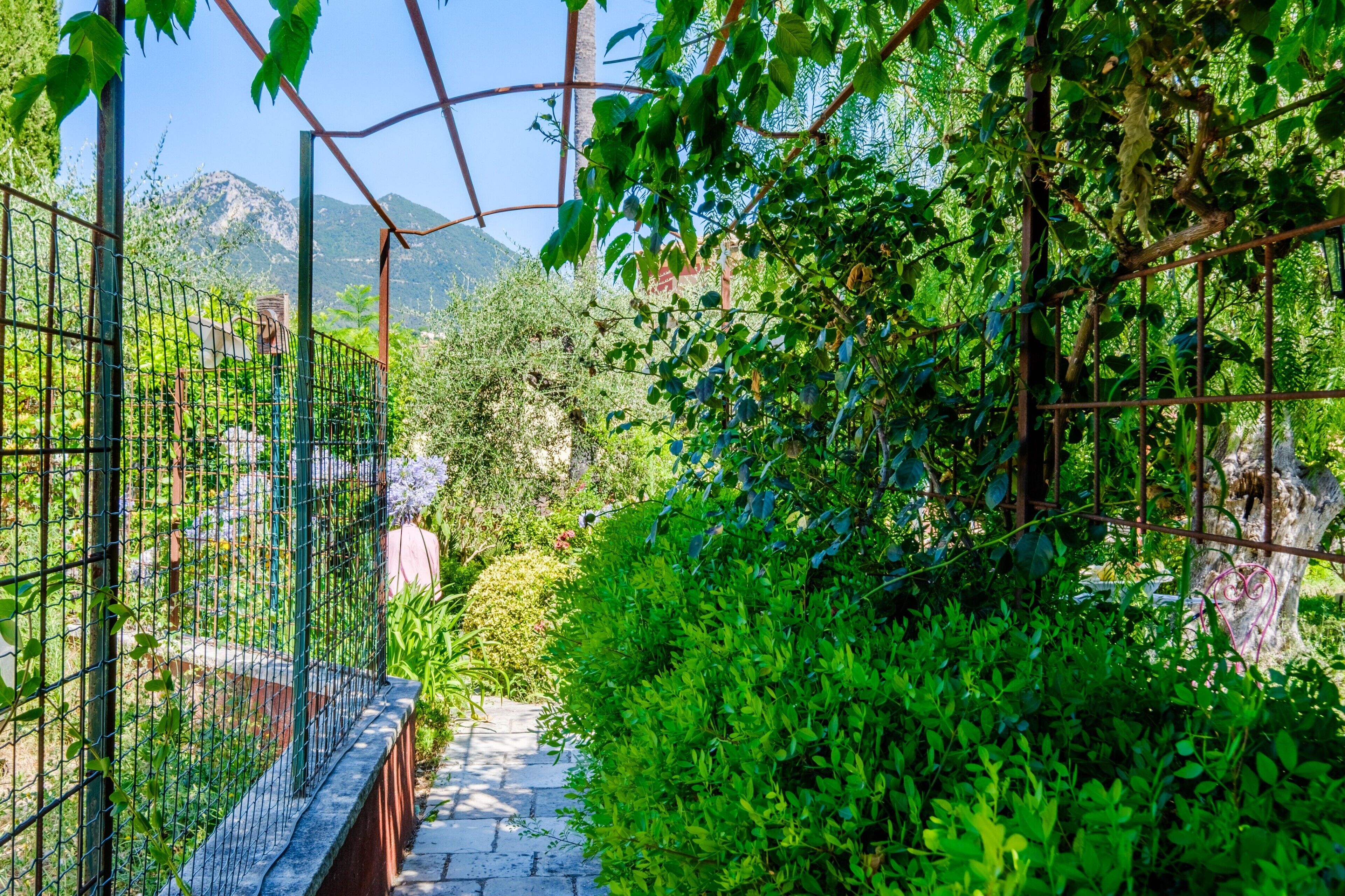 Un sendero bordeado de vegetación exuberante y una valla de metal, que conduce hacia un paisaje montañoso.