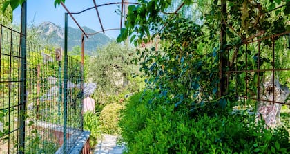 Chambre d'hÎtes 'Cocteau' avec terrasse partagée, Wi-Fi et climatisation