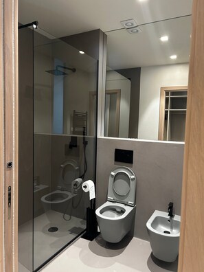 Dusche, Haartrockner, Handtücher