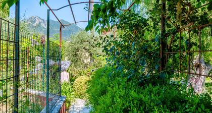 Room 'Serena' with Shared Terrace, Wi-Fi and Air Conditioning