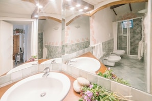 Shower, hair dryer, bidet, towels