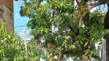 Área da propriedade