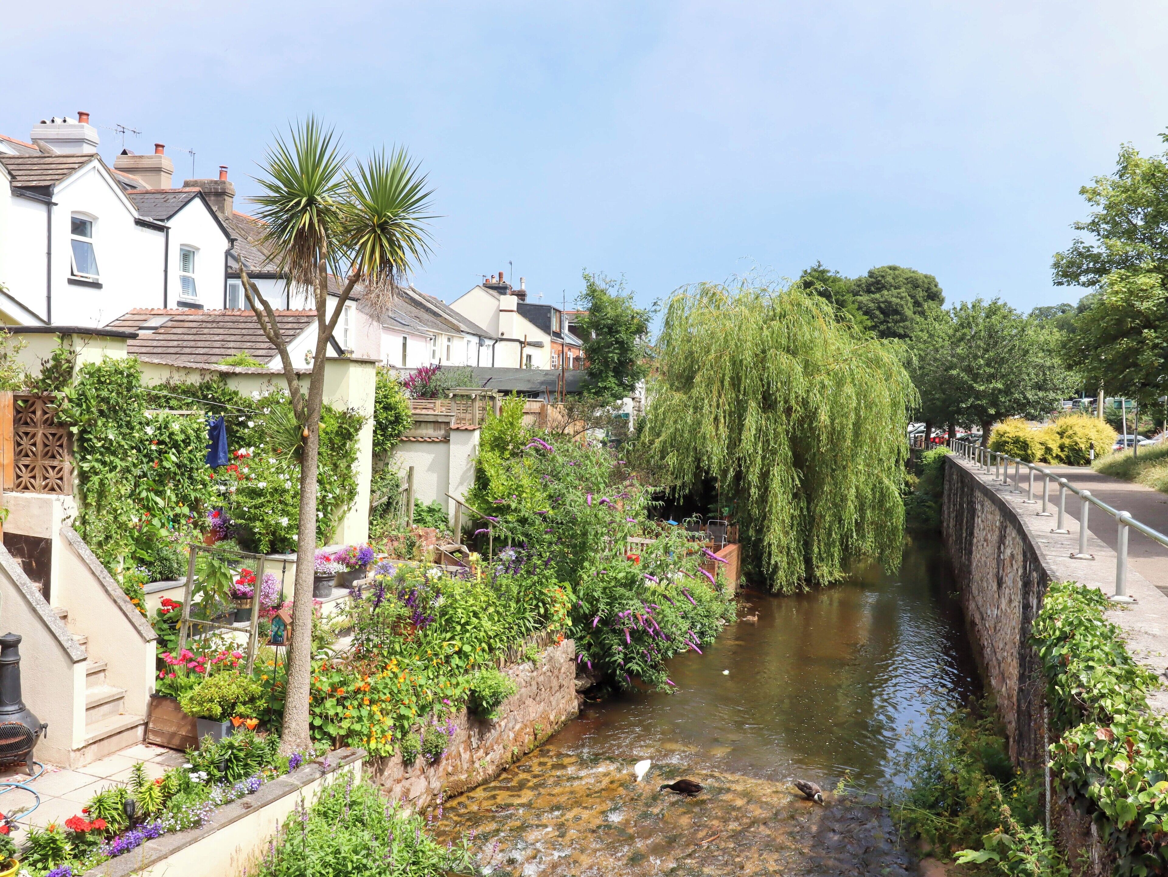 Un étroit canal bordé d’un saule pleureur sur la droite, entouré d’une végétation luxuriante et de plantes en fleurs.