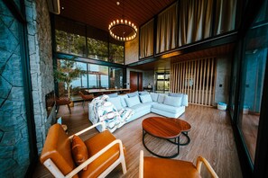 Smart TV, chimenea y libros