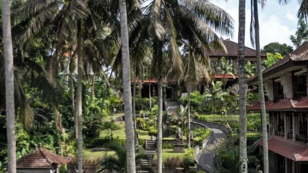 Ein Resort mit Schwimmbad, Palmen und einem gepflegten Garten.