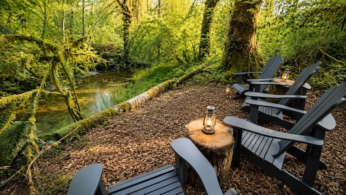 Cozy PNW escape in town with hidden creek spot, perfect for exploring Olympic NP