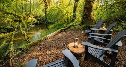 Cozy PNW escape in town with hidden creek spot, perfect for exploring Olympic NP