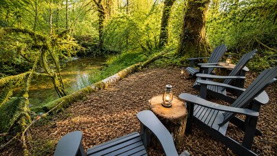 Cozy PNW escape in town with hidden creek spot, perfect for exploring Olympic NP