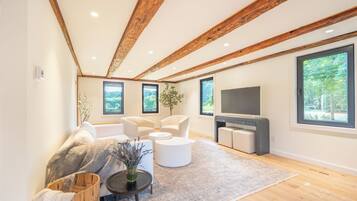 Smart TV, caminetto, libri