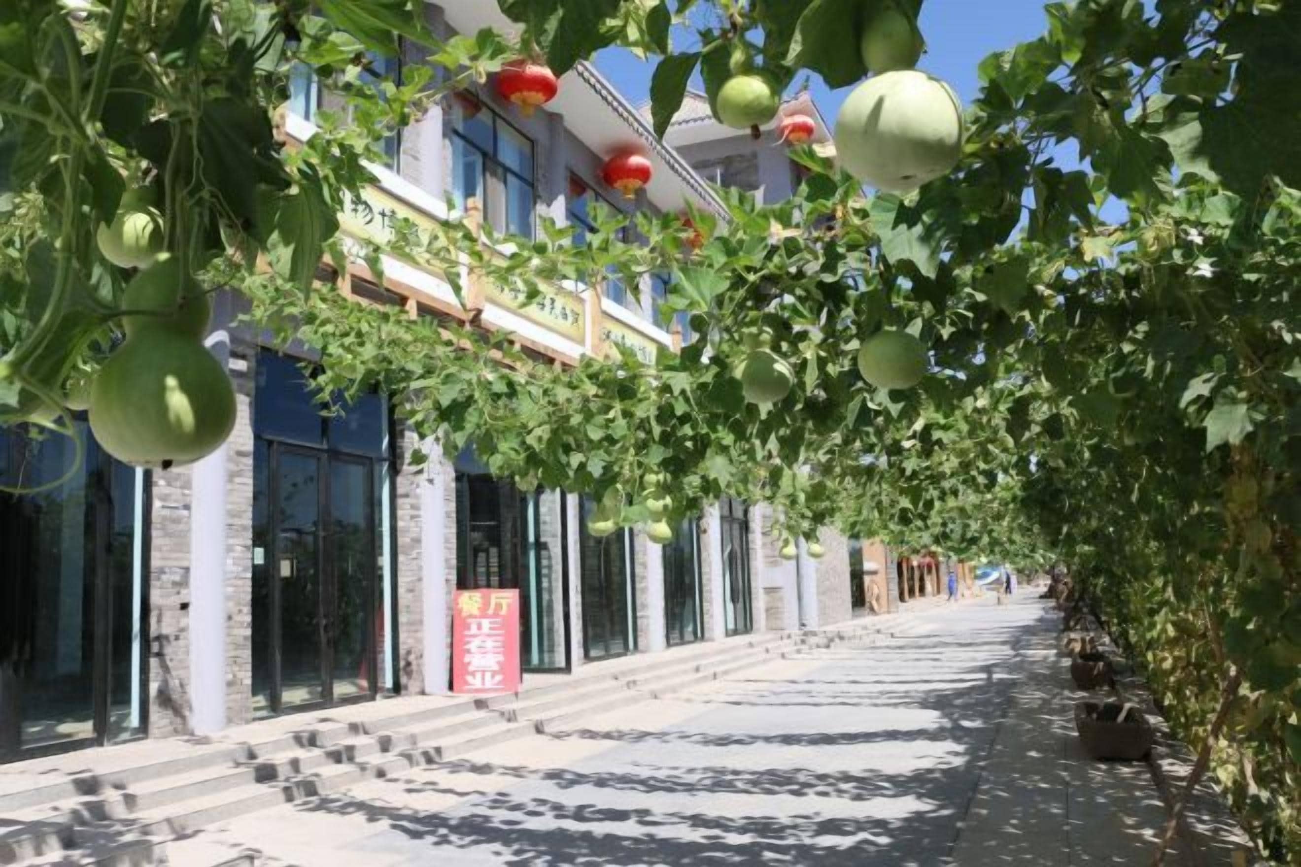 A building with a staircase leading to the entrance, surrounded by greenery and hanging fruits.