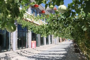 A building with a staircase leading to the entrance, surrounded by greenery and hanging fruits.
