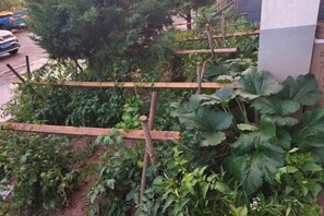 Sınıflandırılmamış resim, 25 üzerinden 3, düğme