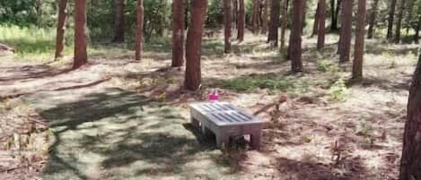 Property grounds