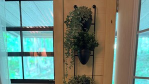 A room with wooden walls, a window, and a wall-mounted plant holder with two plants.