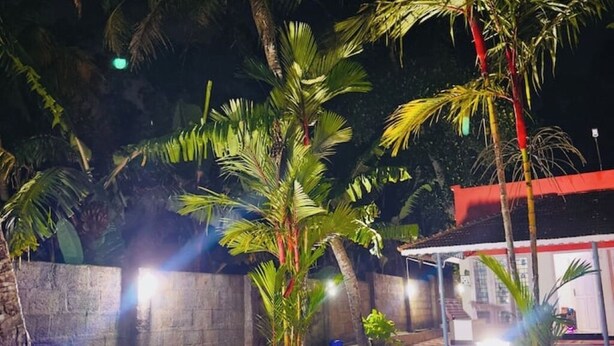 An outdoor patio area with a stone table and chairs, surrounded by palm trees and a stone wall.